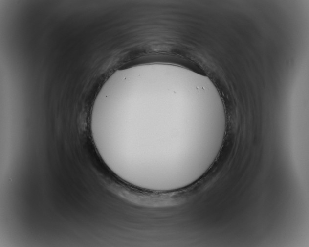 X0000083530032200703021606