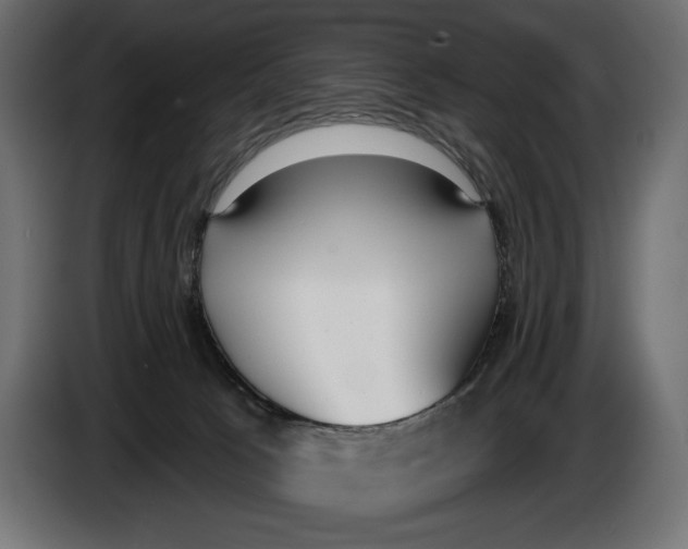 X0000083530033200703021606