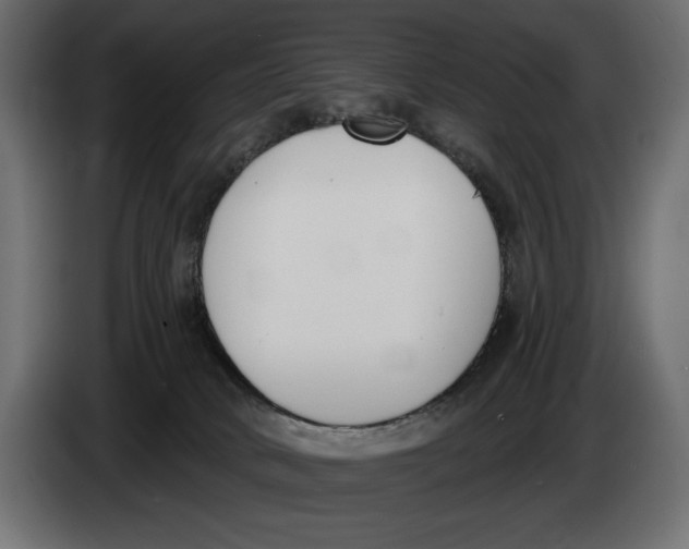 X0000083530034200703021606