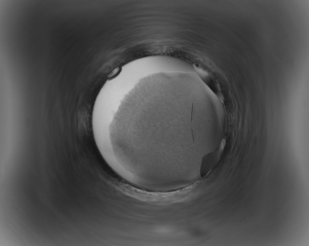 X0000083530035200703021605