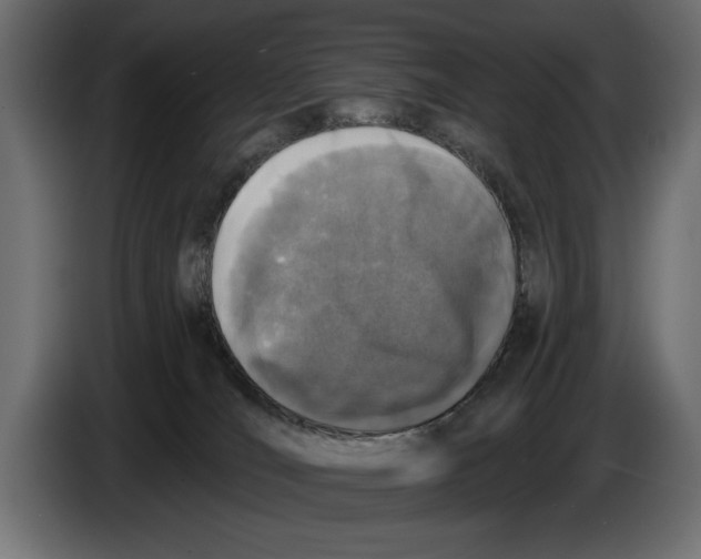 X0000083530036200703021605