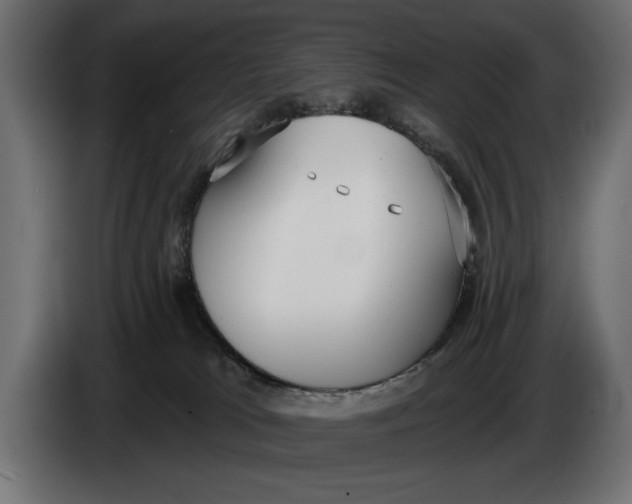 X0000083530037200703021605