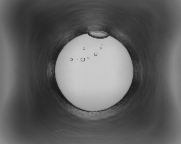 X0000083530038200703021605