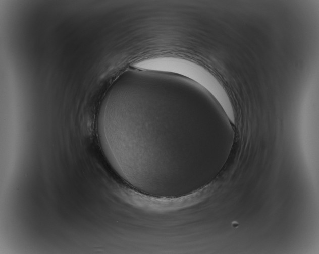 X0000083530039200703021605