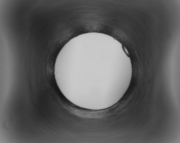 X0000083530040200703021605