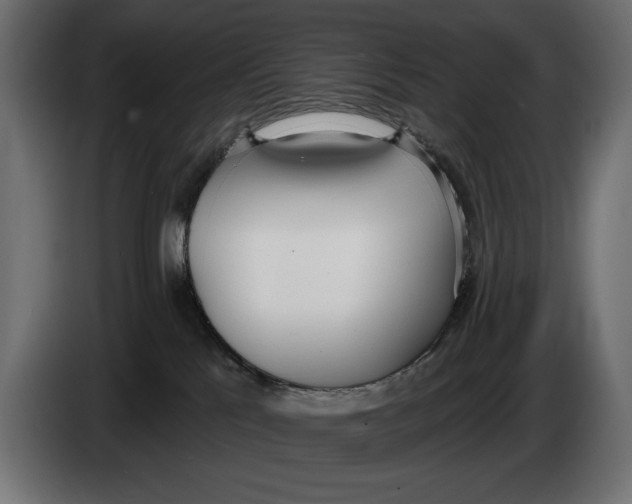 X0000083530041200703021605