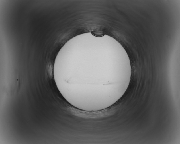 X0000083530042200703021605