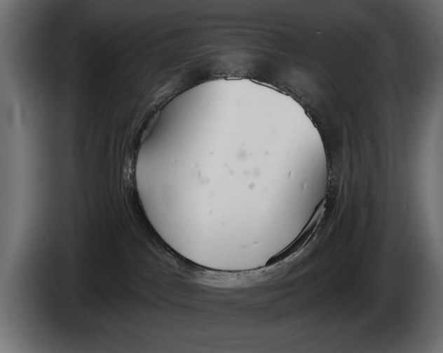 X0000083530045200703021605