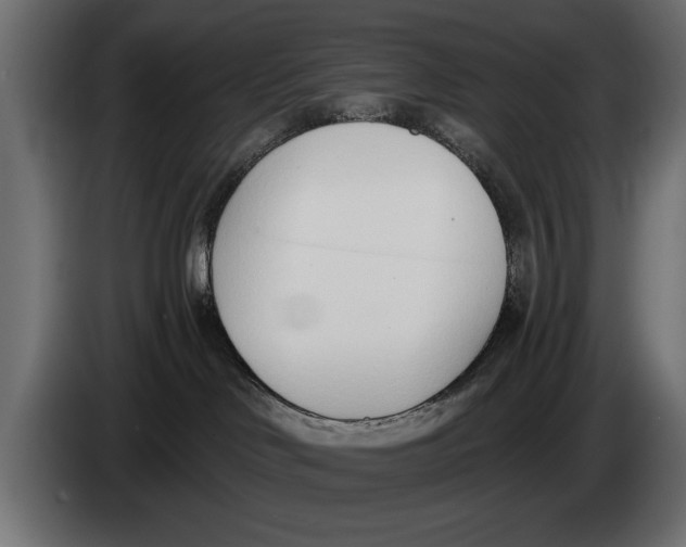 X0000083530046200703021605