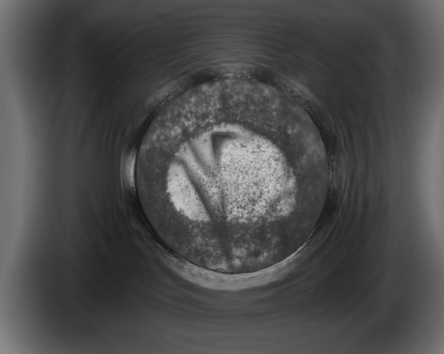 X0000083530047200703021605