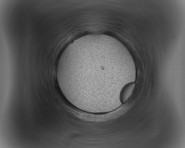 X0000083530048200703021605