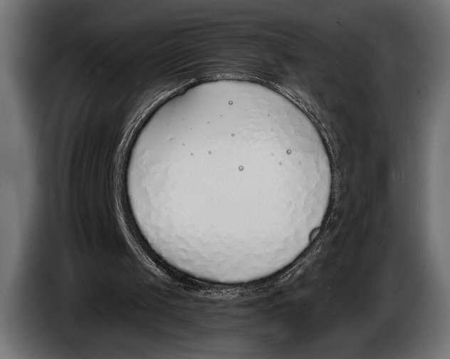 X0000083530049200703021604