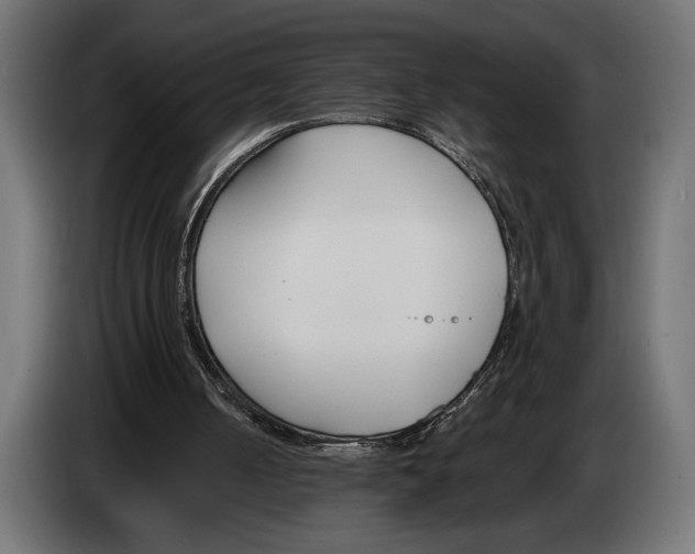 X0000083530050200703021604