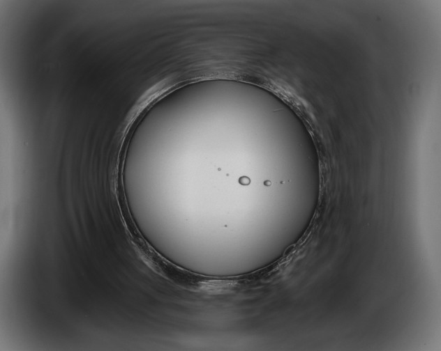 X0000083530051200703021604