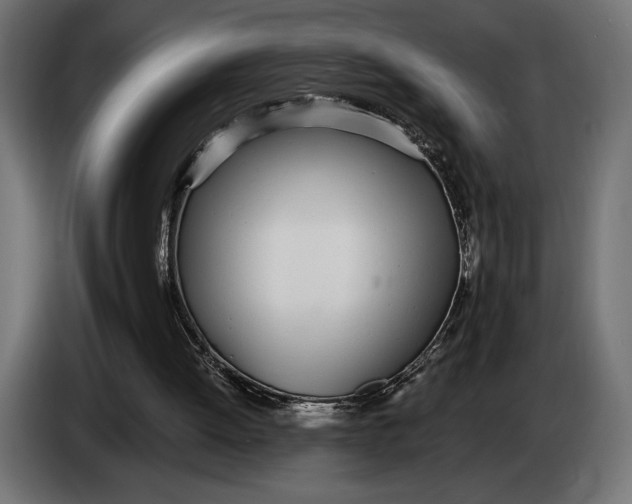 X0000083530052200703021604