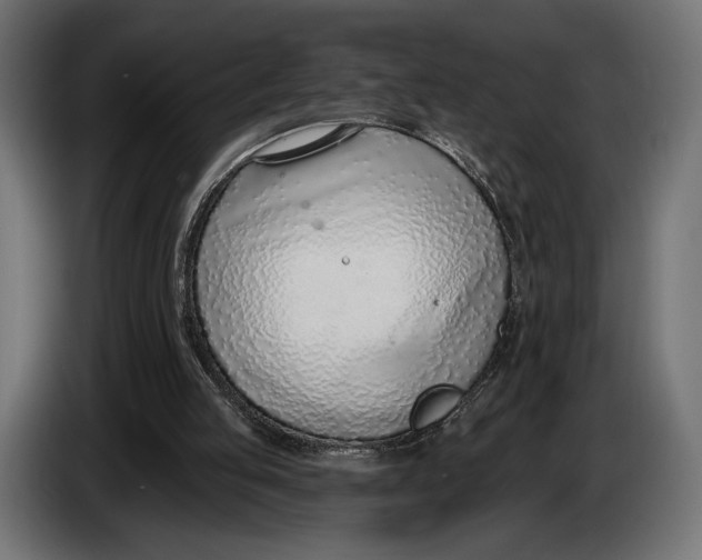 X0000083530053200703021604