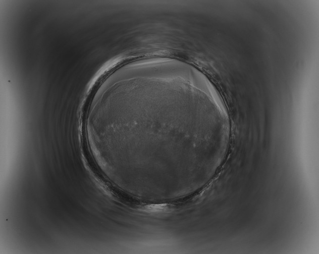 X0000083530054200703021604