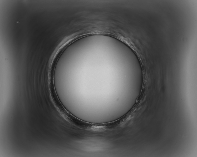 X0000083530055200703021604