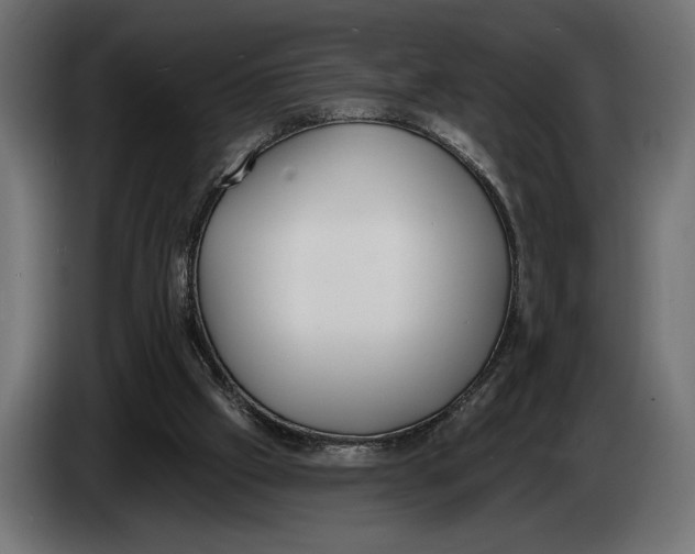 X0000083530057200703021604