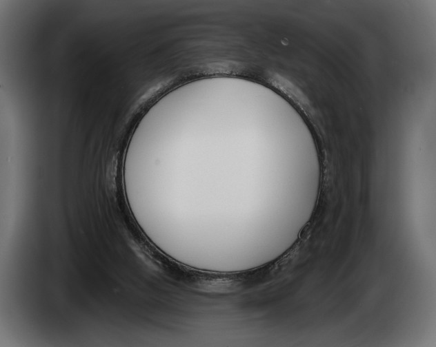 X0000083530058200703021604