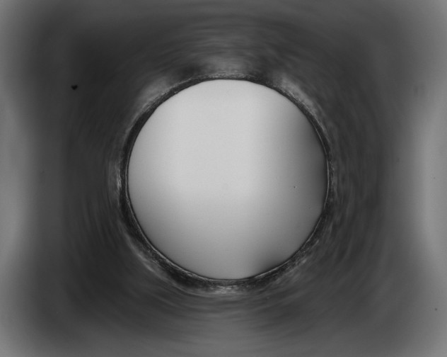 X0000083530059200703021604