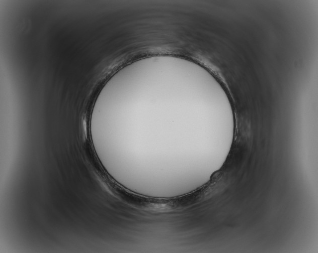 X0000083530061200703021604