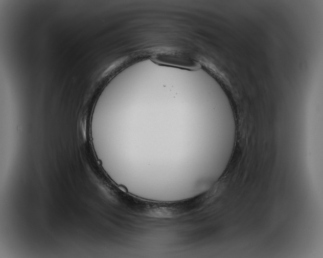 X0000083530062200703021604