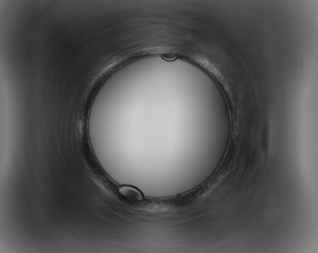 X0000083530063200703021604