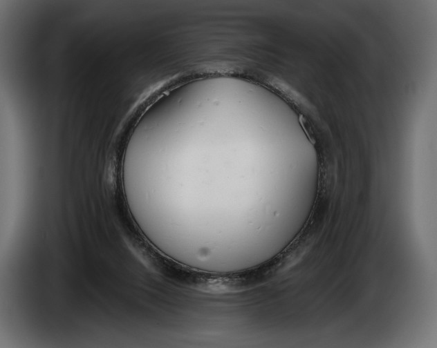 X0000083530064200703021604