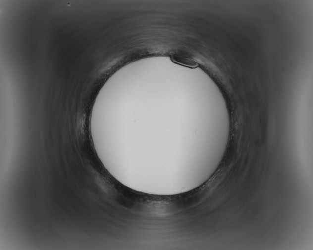 X0000083530066200703021605