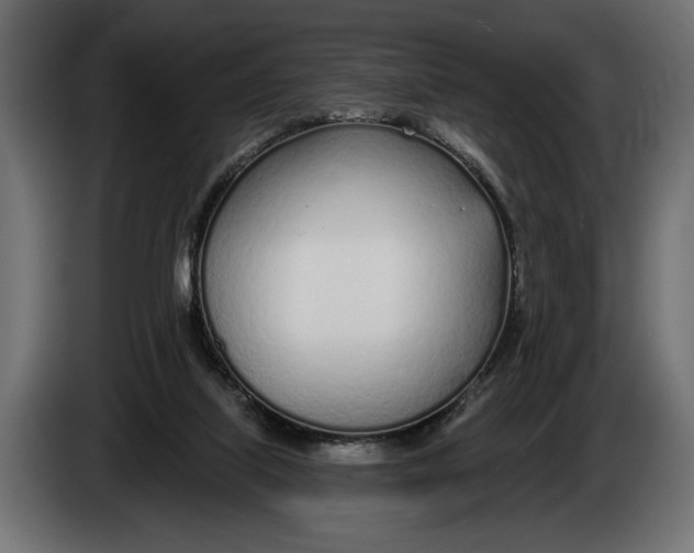 X0000083530067200703021605