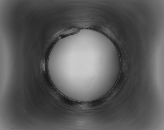 X0000083530068200703021605