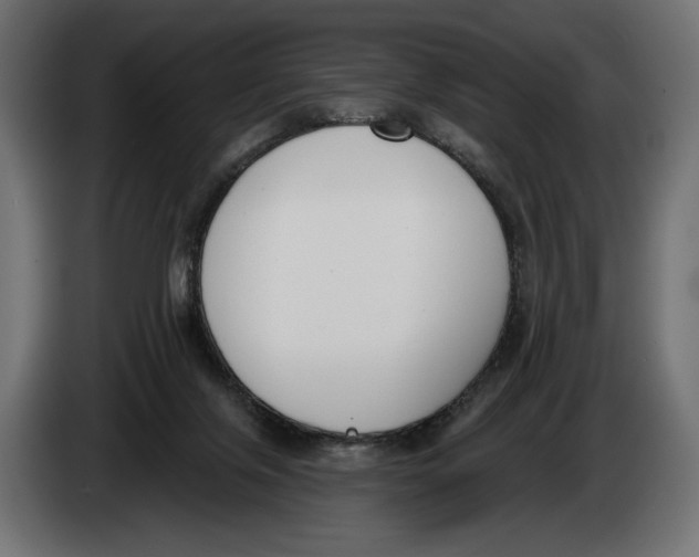 X0000083530071200703021605