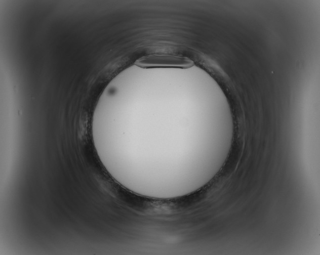 X0000083530073200703021605