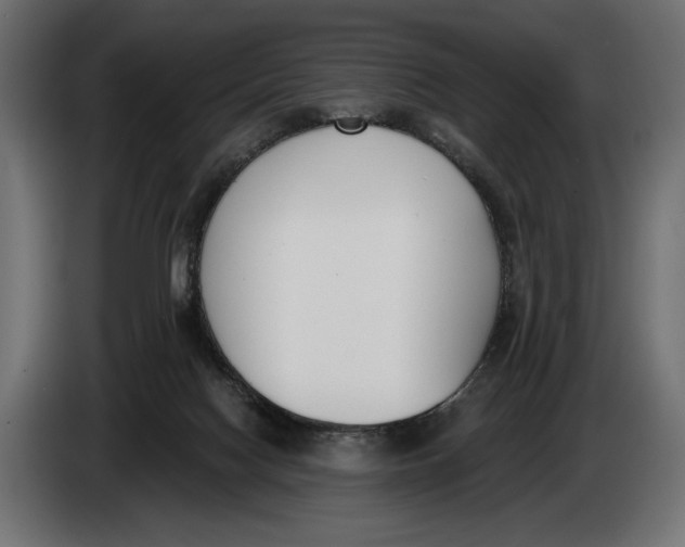 X0000083530074200703021605