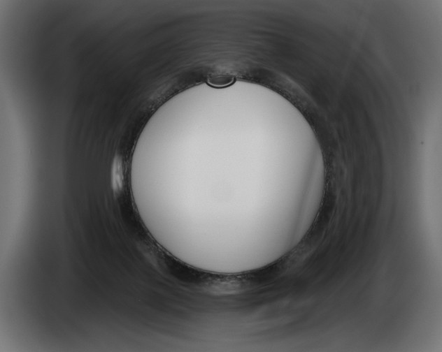 X0000083530075200703021605