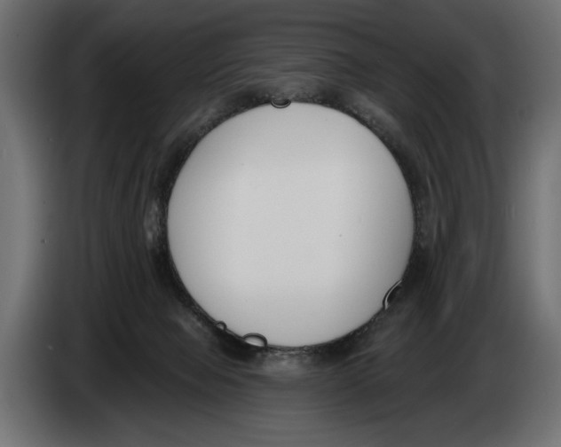 X0000083530077200703021605