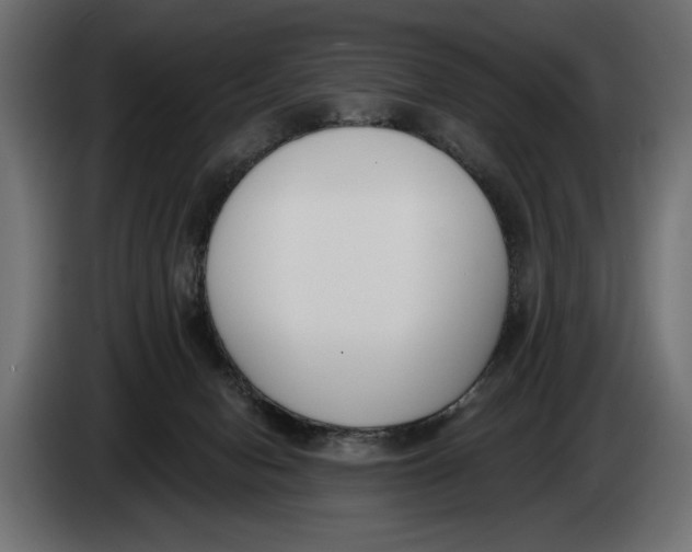 X0000083530078200703021605