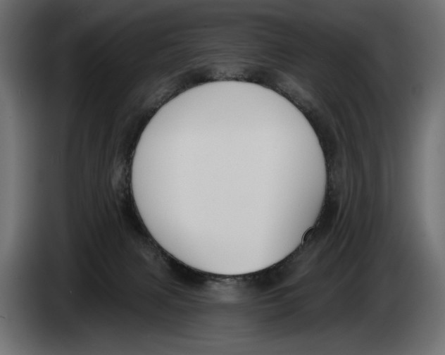 X0000083530079200703021605