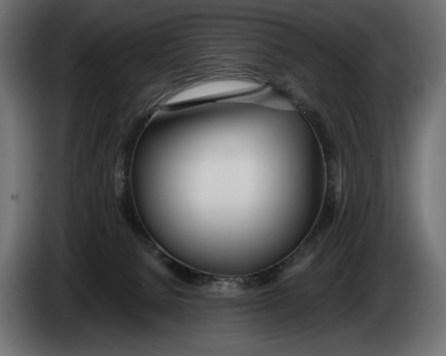 X0000083530080200703021605