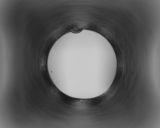 X0000083530082200703021605