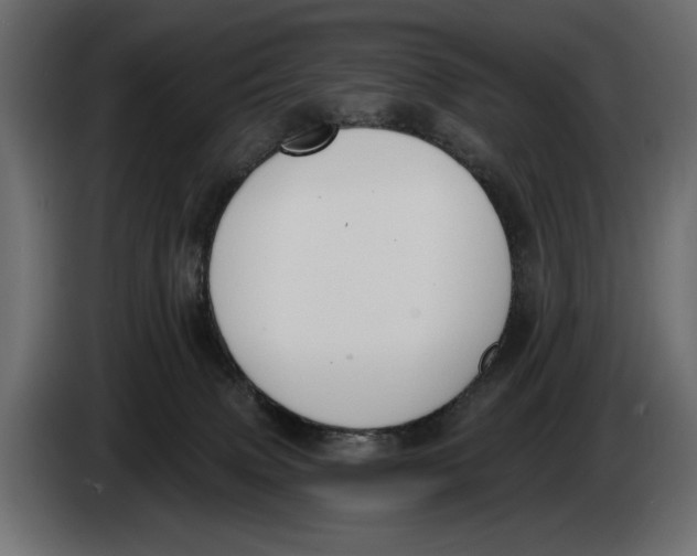 X0000083530083200703021605