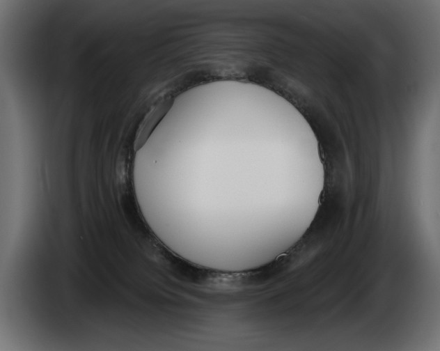 X0000083530084200703021605