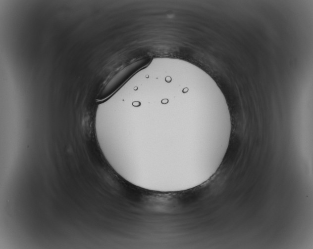 X0000083530086200703021605