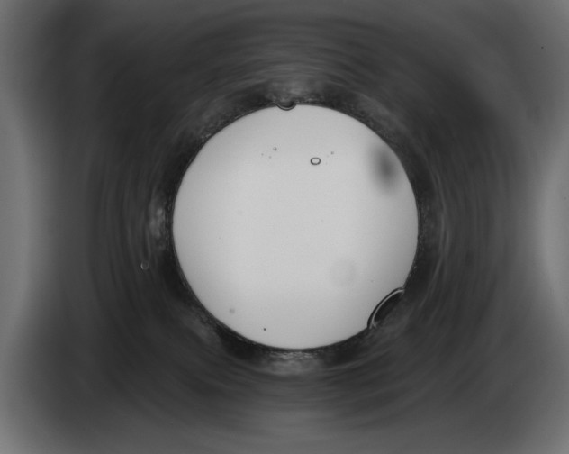 X0000083530087200703021605