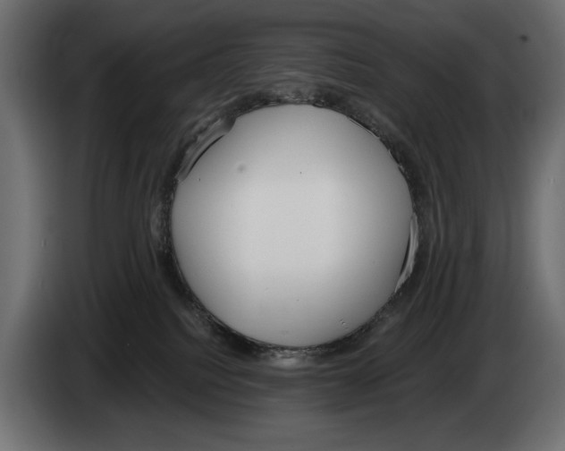 X0000083530088200703021605