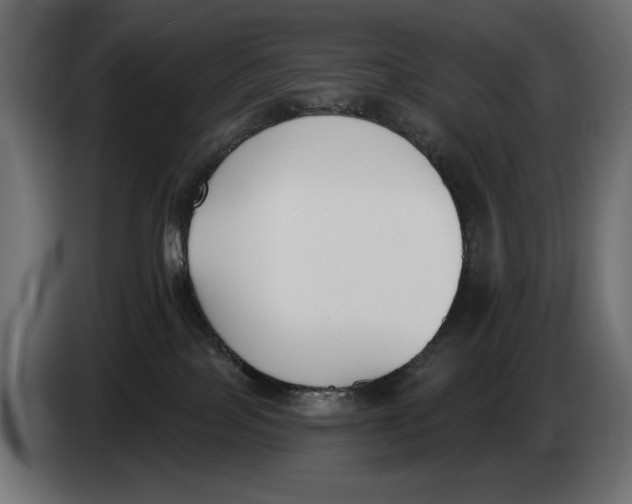 X0000083530089200703021605