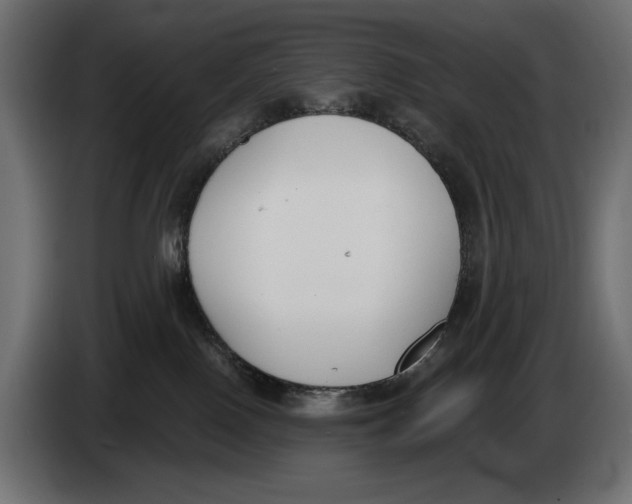 X0000083530090200703021605