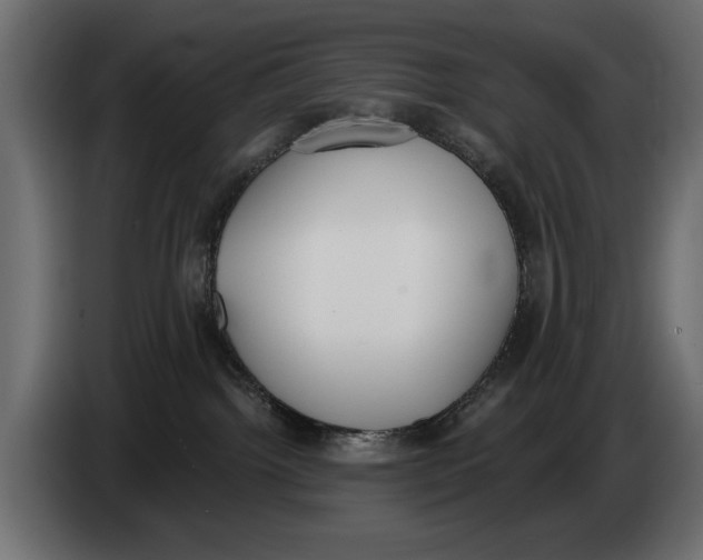 X0000083530092200703021605