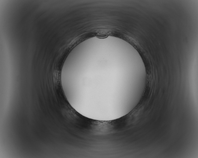 X0000083530093200703021605